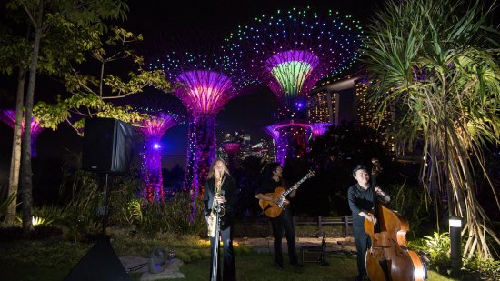 Host an event at Secret Life of Trees