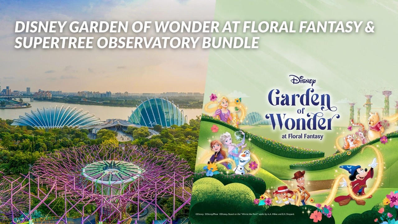 Disney Garden of Wonder and Supertree Observatory Bundle